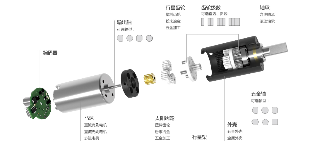 6mm空心杯減速電機(jī)